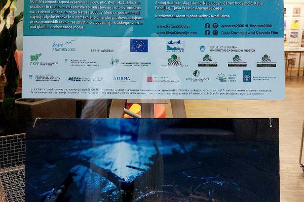 Razstava »Natura 2000 in Divja Slovenija: Narava povezuje«