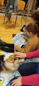 IMG_20230227_181851