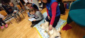 IMG_20230227_182022