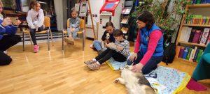 IMG_20230227_183034