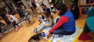 IMG_20230227_183414