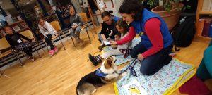 IMG_20230227_183551