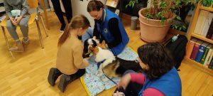 IMG_20230227_190229