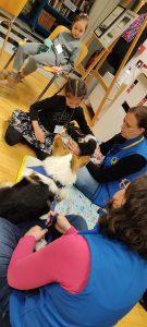 IMG_20230227_190620